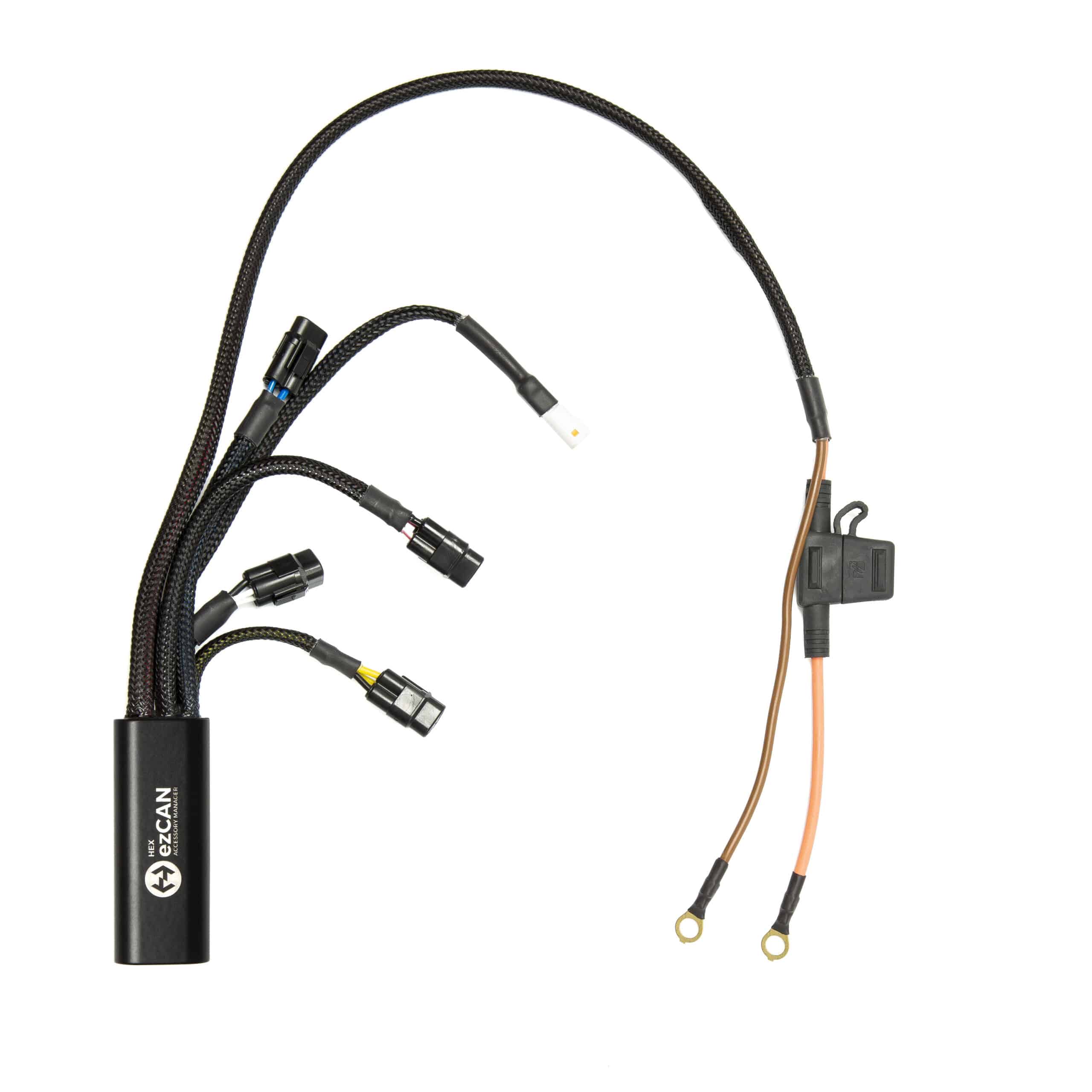 HEX ezCAN Tagus for Triumph Bikes