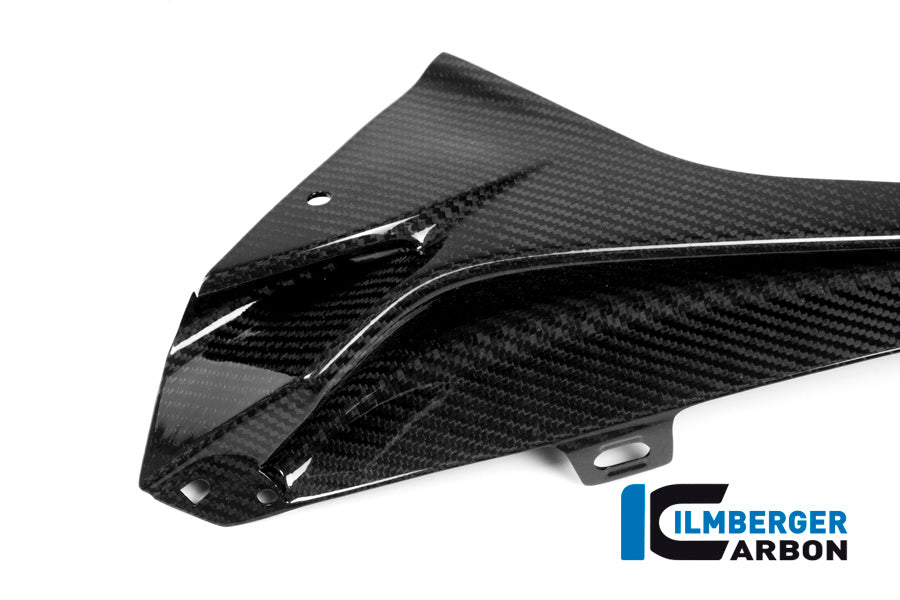 Ilmberger Carbon Upper Fairing Panel, Left (S1000RR Gen 3)